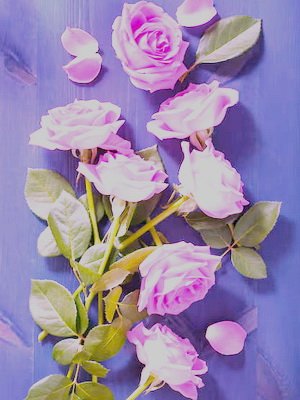 Вітаємо з Днем народження настоятеля Свято-Петропавлівського храму с. Рея протоієрея В’ячеслава Губенка! Вітаємо з Днем народження настоятеля Свято-Петропавлівського храму с. Рея протоієрея В’ячеслава Губенка!