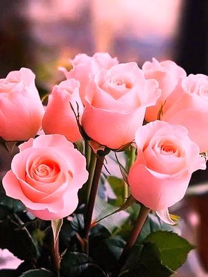 Вітаємо з Днем хіротонії духівника Бердичівського благочиння, настоятеля Свято-Димитрівського храму селища Гришківців протоієрея Миколая Шпичку! Вітаємо з Днем хіротонії духівника Бердичівського благочиння, настоятеля Свято-Димитрівського храму селища Гришківців протоієрея Миколая Шпичку!