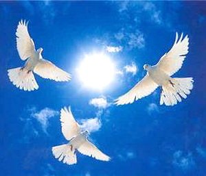 ��������� ����� ��������