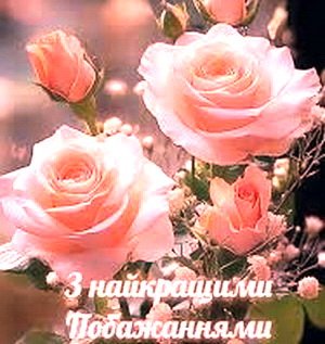 ³���� � ���� ������ ������ �����-������������� ������ ������� ³���� ������!