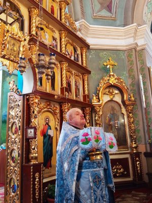 ����� ��������� �������� ��������, ������ �����: �������� ����������� � �����-������������� ����� �. ���������