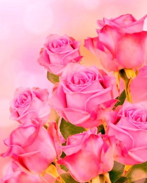 ³���� � ���� ���������� ���������� �����-������������� ����� ���� ������ ������� ���������� �������!