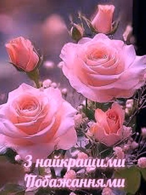 Вітаємо з Днем хіротонії настоятеля Свято-Успенського храму та храму на честь ікони Божої Матері «Цілителька» м. Бердичева протоієрея Романа Бойкова! Вітаємо з Днем хіротонії настоятеля Свято-Успенського храму та храму на честь ікони Божої Матері «Цілителька» м. Бердичева протоієрея Романа Бойкова!